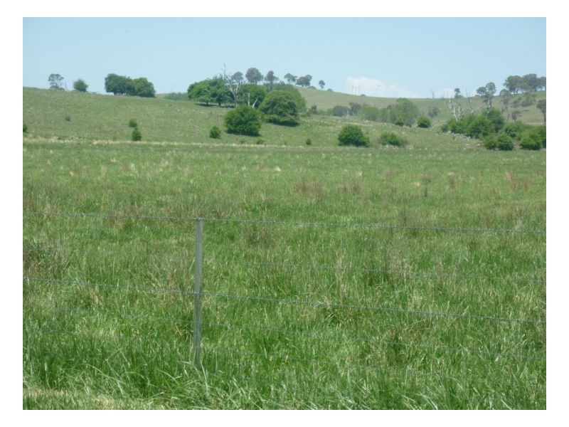 Guyra NSW 2365