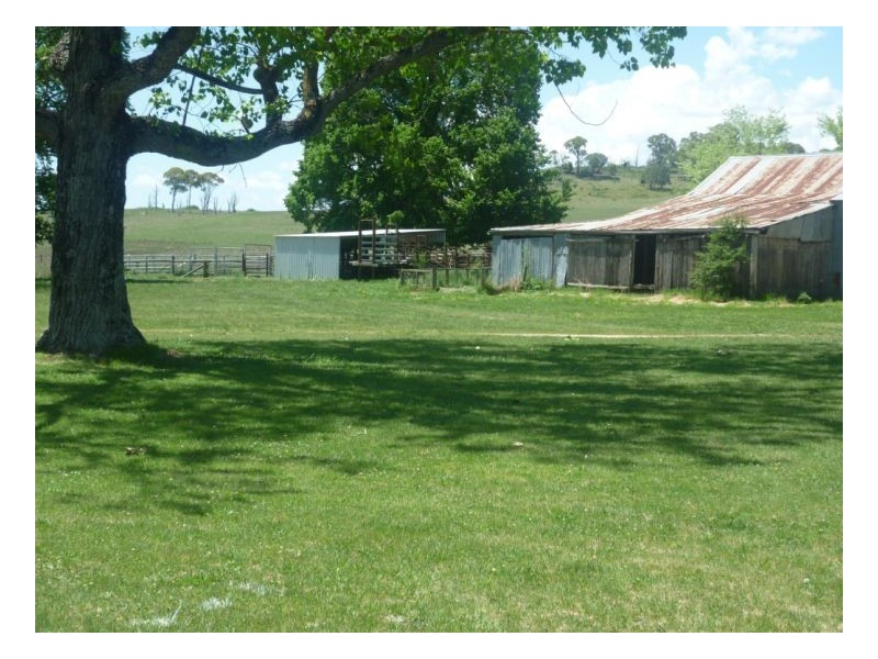 Guyra NSW 2365