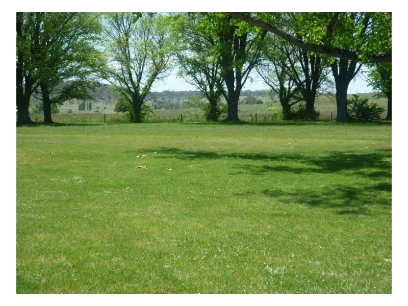 Guyra NSW 2365