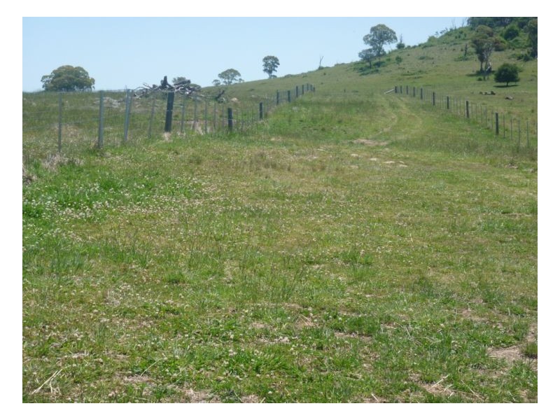 Guyra NSW 2365