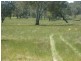 Guyra NSW 2365
