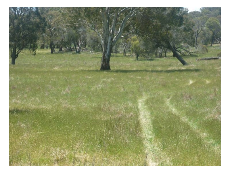 Guyra NSW 2365