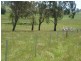 Guyra NSW 2365