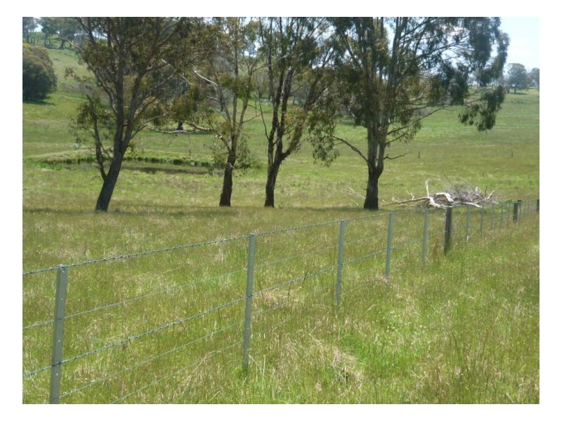 Guyra NSW 2365