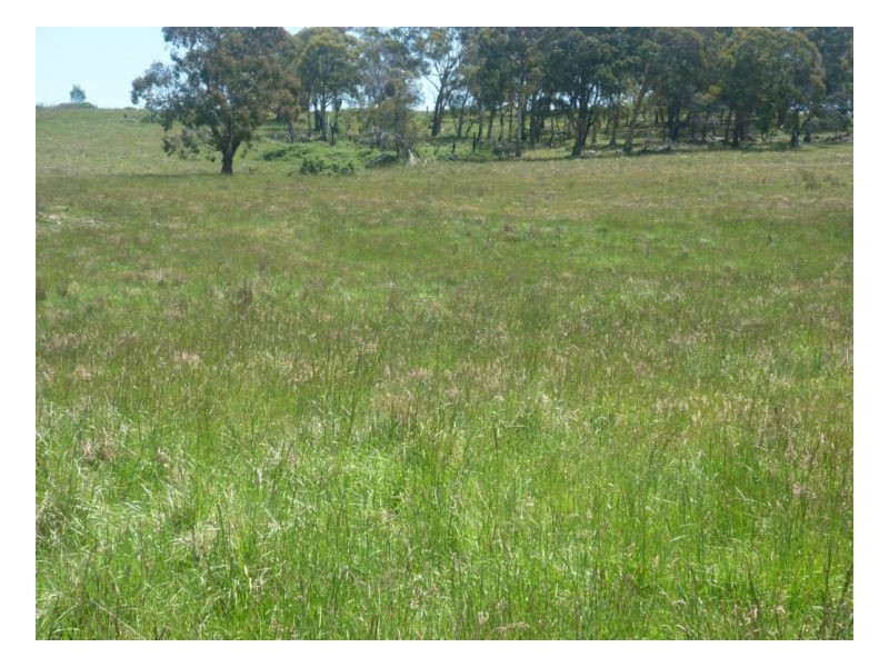 Guyra NSW 2365