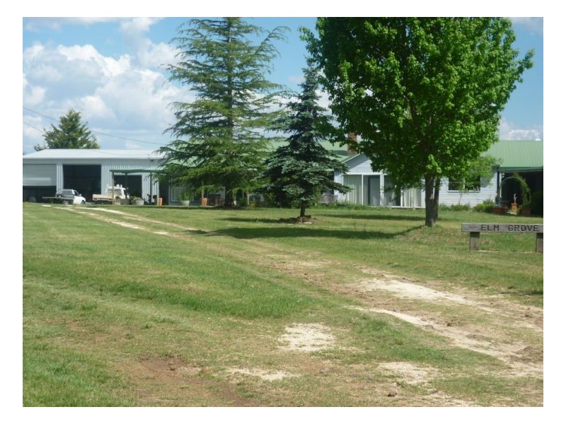 Guyra NSW 2365