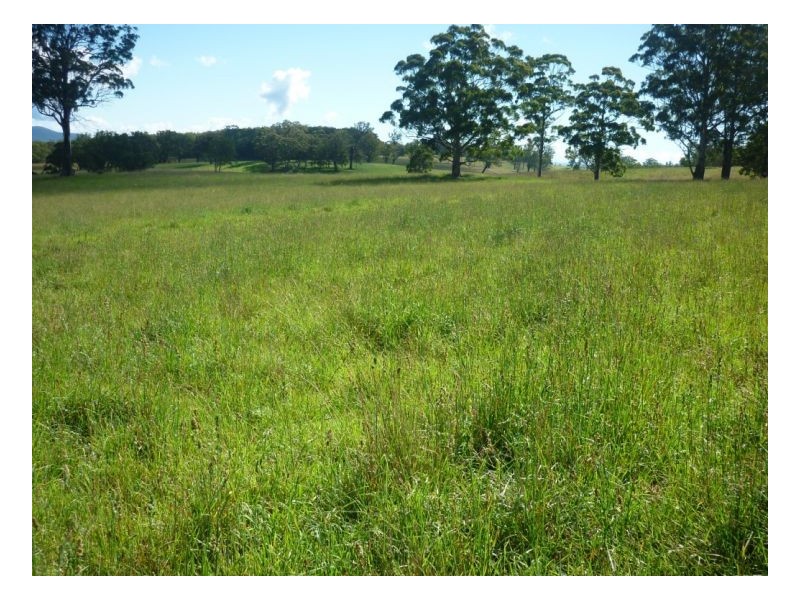 Walcha NSW 2354
