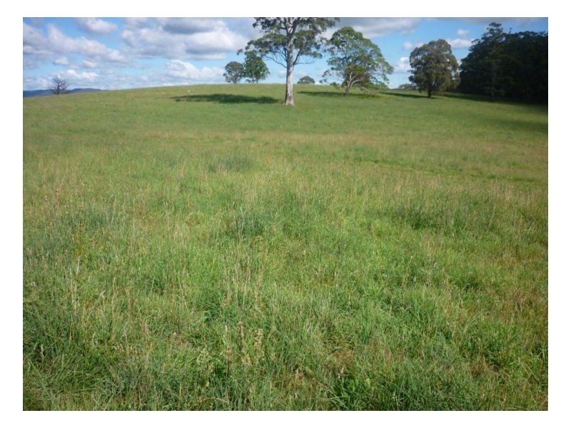 Walcha NSW 2354