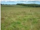 Walcha NSW 2354