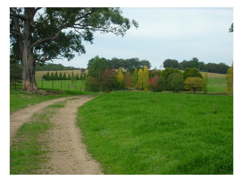 Walcha NSW 2354