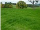 Walcha NSW 2354