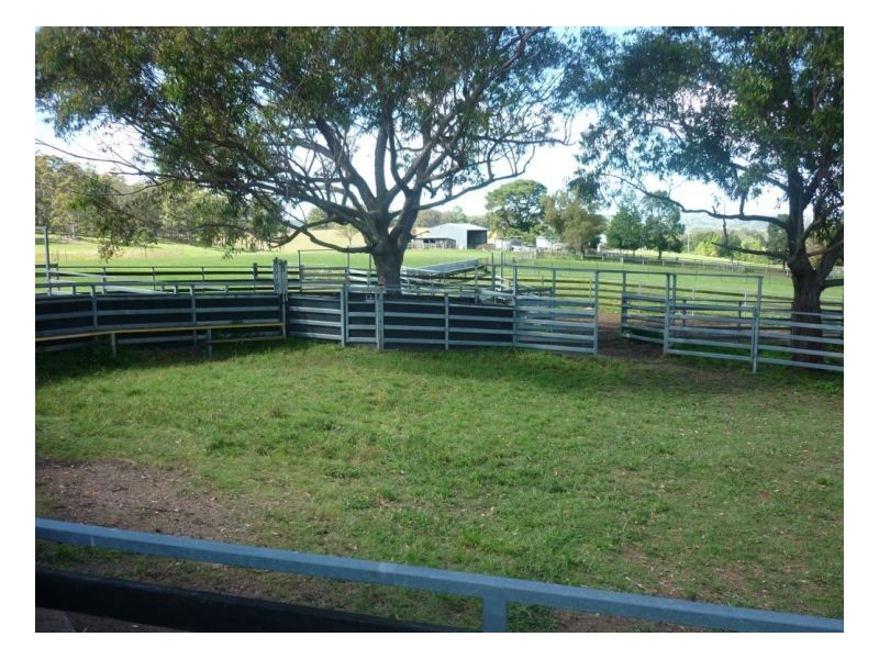Walcha NSW 2354