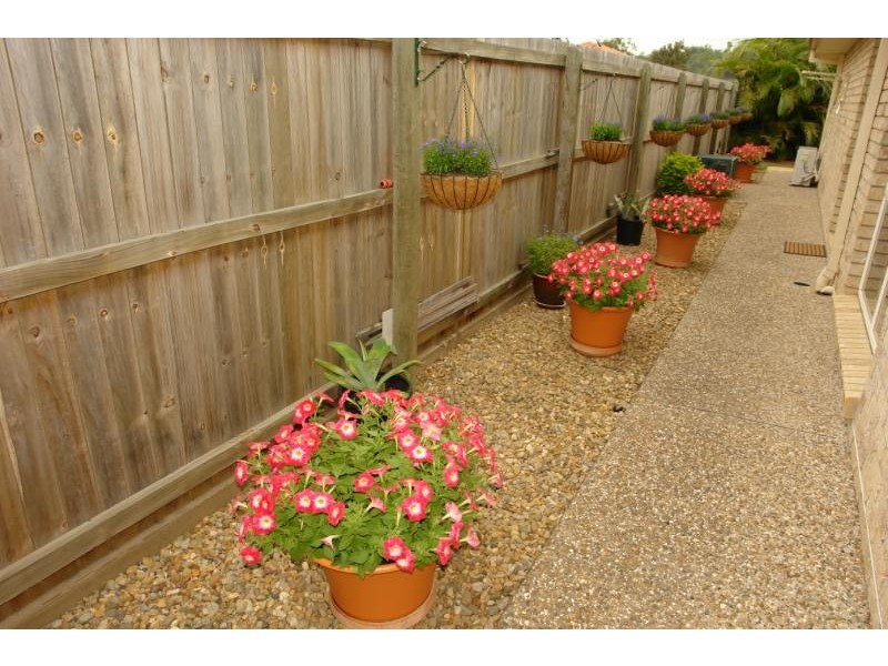 Upper Coomera QLD 4209