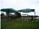 Coombabah QLD 4216