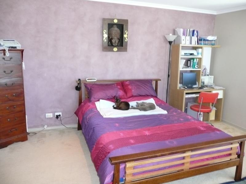 Biggera Waters QLD 4216