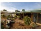 Kangaroo Flat VIC 3555