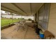 Eaglehawk VIC 3556