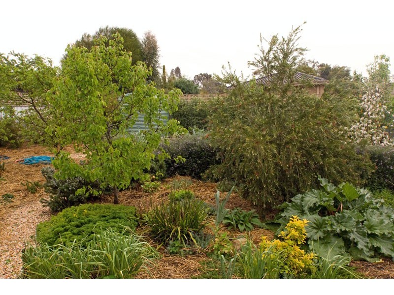 Kangaroo Flat VIC 3555