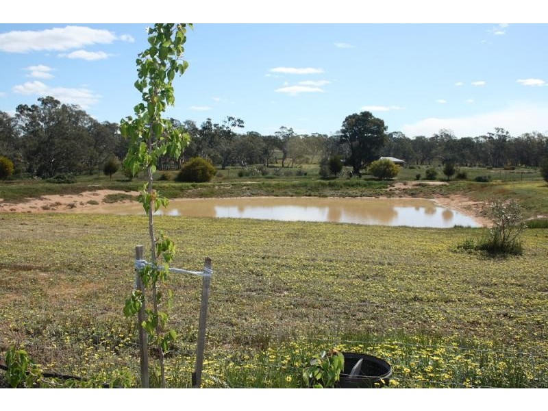 Lockwood South VIC 3551