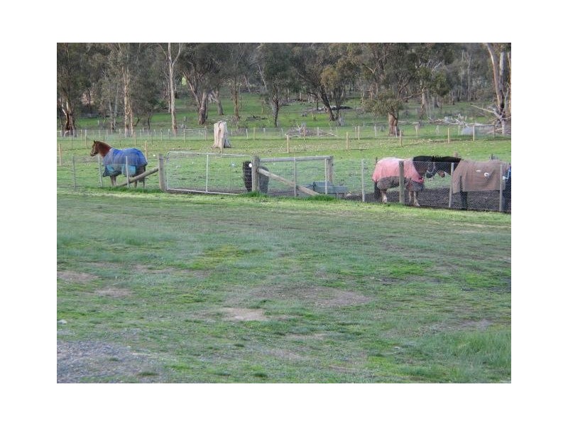 Strathfieldsaye VIC 3551