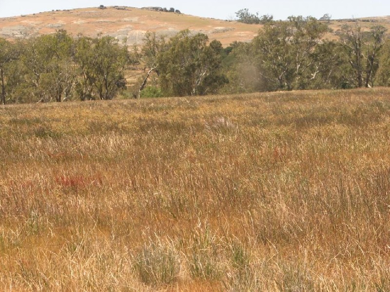 Lockwood South VIC 3551