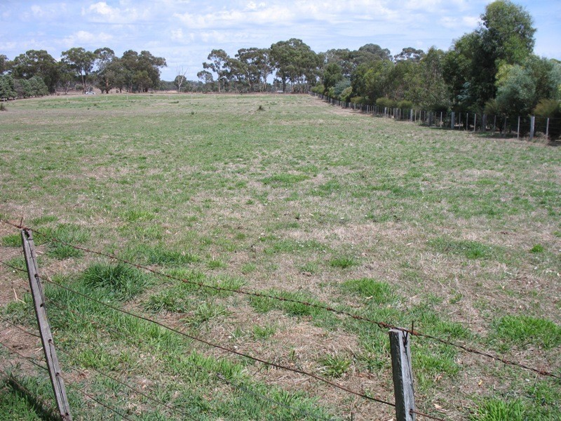 Strathfieldsaye VIC 3551