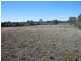 Strathfieldsaye VIC 3551