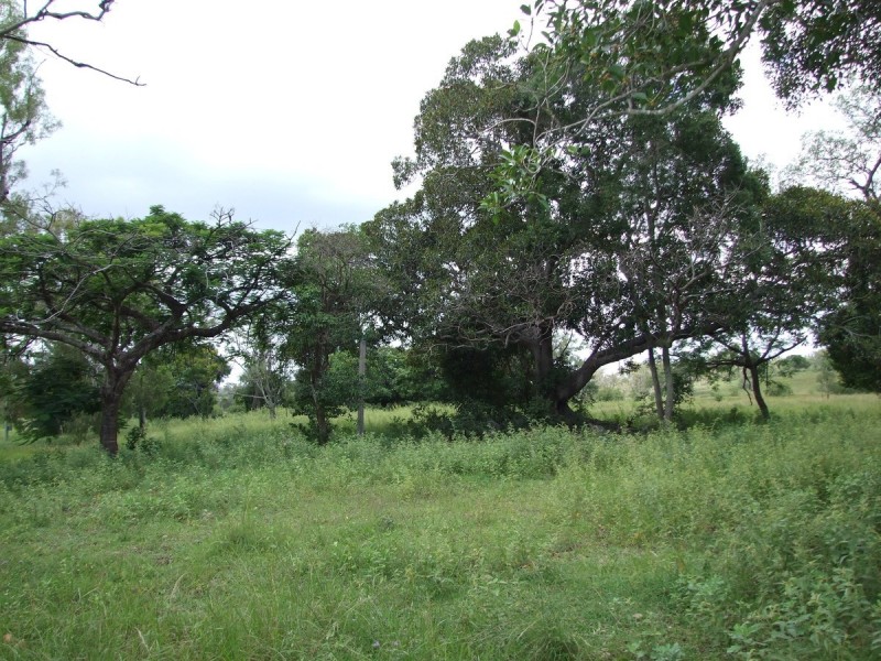 Lot 1 V Ramm Road, Bajool QLD 4699
