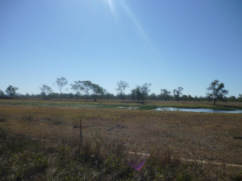 Lot 113 Edwards Road, Pink Lily QLD 4702