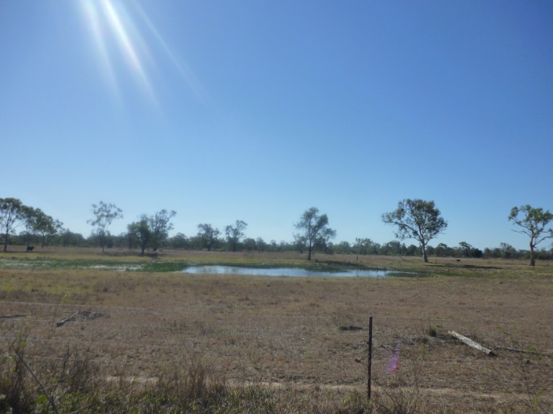 Lot 113 Edwards Road, Pink Lily QLD 4702
