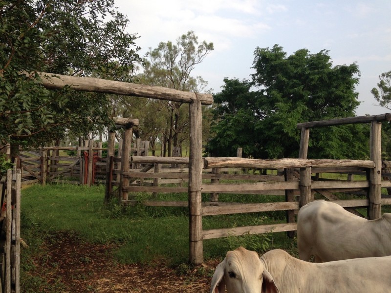 55799 Bruce Highway, Raglan QLD 4697