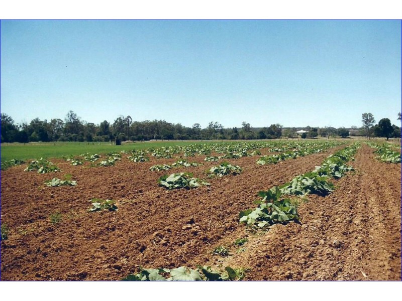 55799 Bruce Highway, Raglan QLD 4697