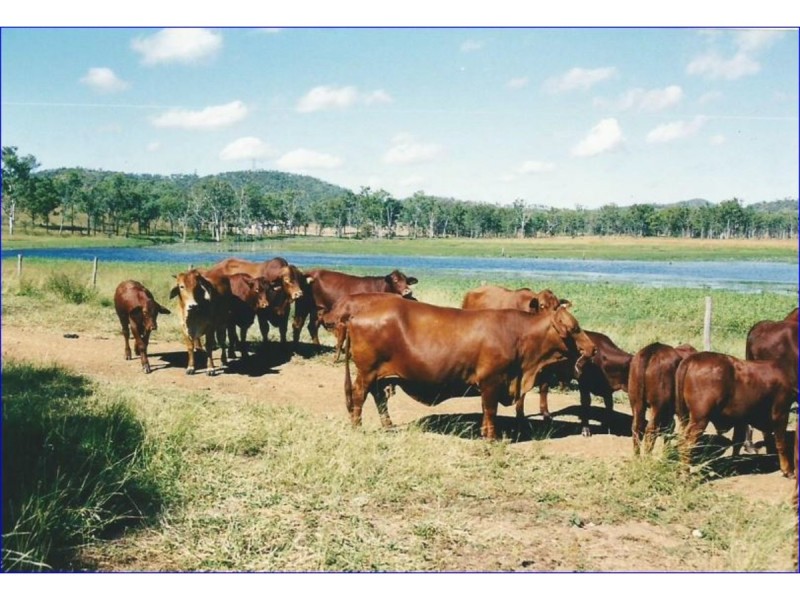 55799 Bruce Highway, Raglan QLD 4697