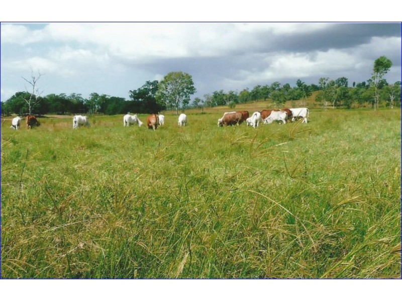 55799 Bruce Highway, Raglan QLD 4697