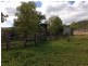 213 Sandy Creek Road, Bushley QLD 4702
