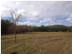 213 Sandy Creek Road, Bushley QLD 4702