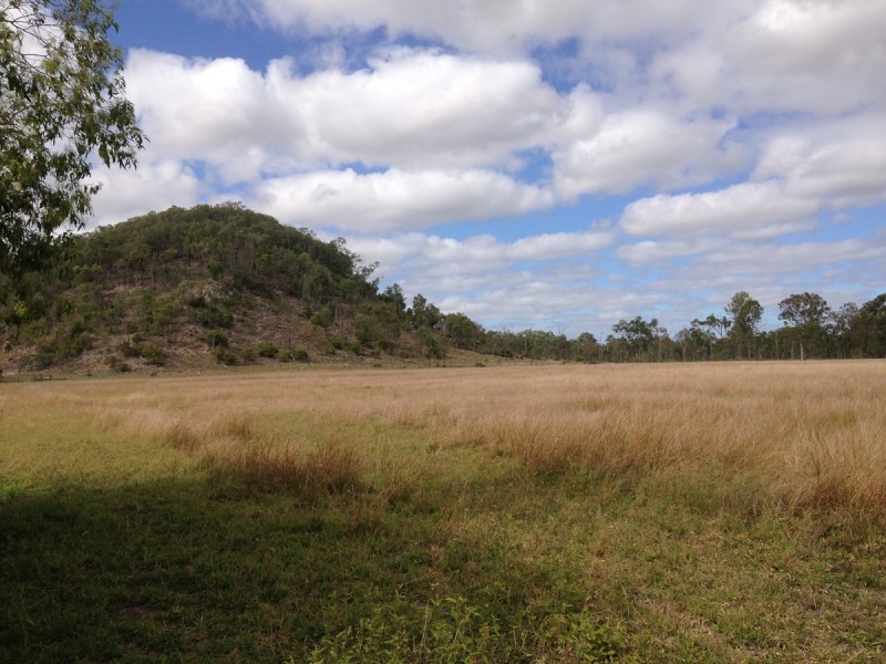 213 Sandy Creek Road, Bushley QLD 4702