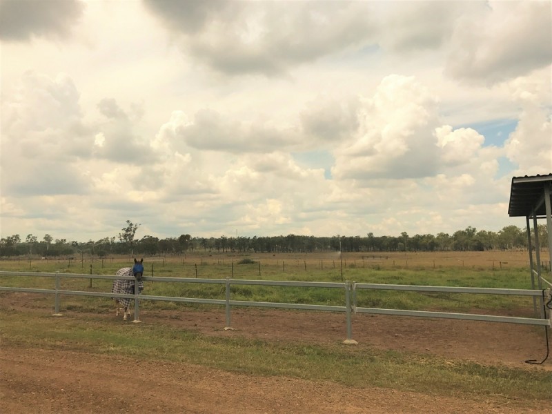 218 South Yaamba Road, Alton Downs QLD 4702