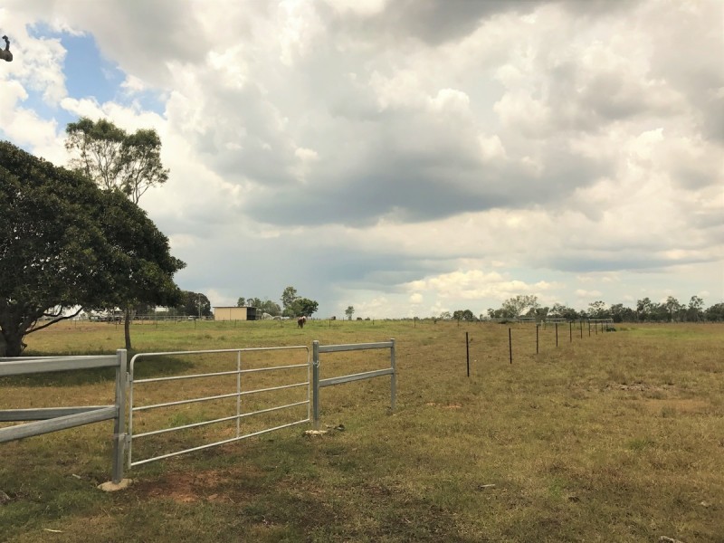 218 South Yaamba Road, Alton Downs QLD 4702