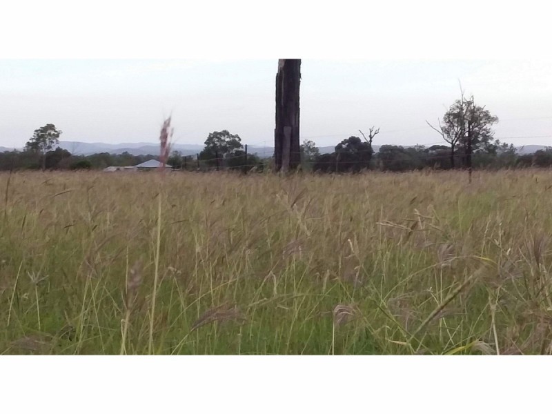 218 South Yaamba Road, Alton Downs QLD 4702