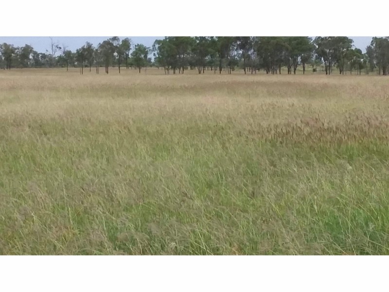 218 South Yaamba Road, Alton Downs QLD 4702