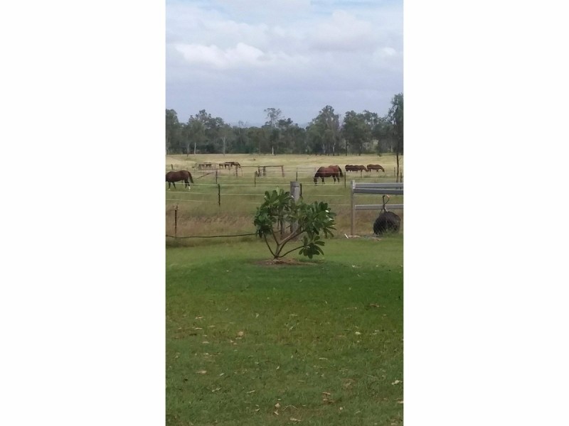 218 South Yaamba Road, Alton Downs QLD 4702