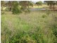 557 Bishop Road, Garnant QLD 4702