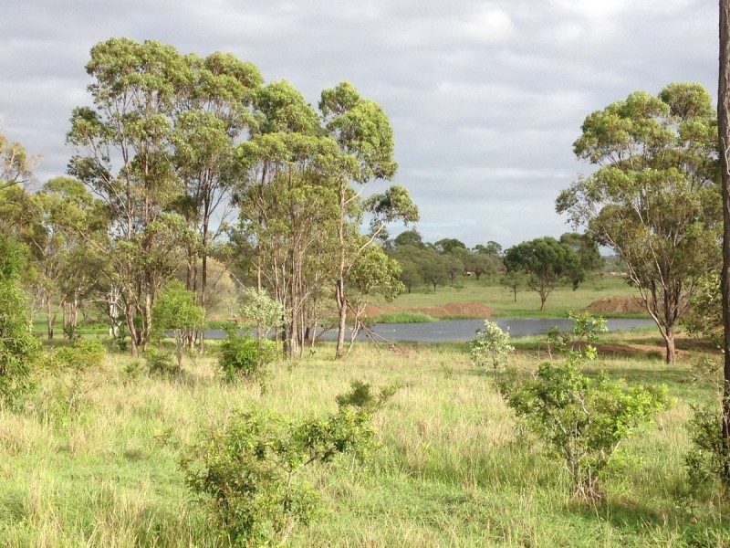 557 Bishop Road, Garnant QLD 4702