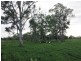 557 Bishop Road, Garnant QLD 4702