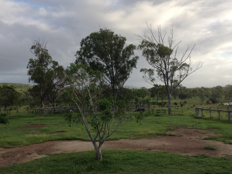 557 Bishop Road, Garnant QLD 4702