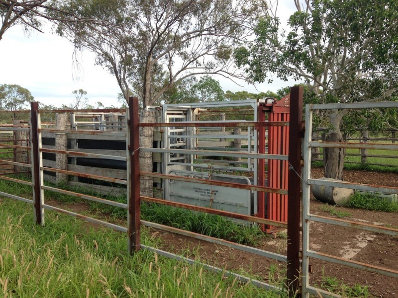 557 Bishop Road, Garnant QLD 4702