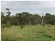 557 Bishop Road, Garnant QLD 4702