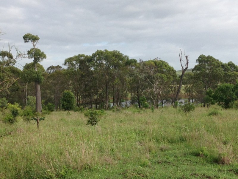 557 Bishop Road, Garnant QLD 4702