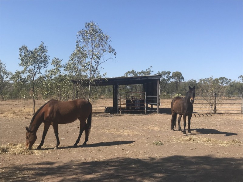 30 Morgan Road, Kalapa QLD 4702